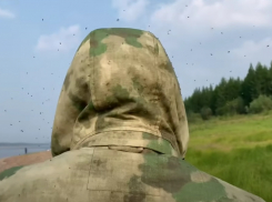 «Сибирская язва, чума, проказа и холера»: врач посоветовала волгоградцам не выходить из дома из-за мошки