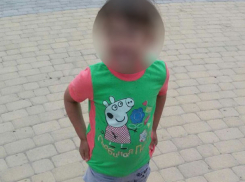 Режим тишины в красном квадрате введен в Калаче: появился подозреваемый в похищении девочки