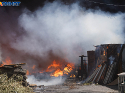 Конюшня загорелась под Волгоградом
