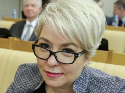 Депутат Госдумы Ирина Гусева стала бабушкой