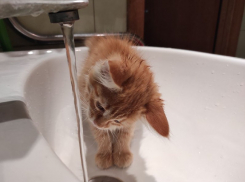 Волгоградцы из-за частых аварий на водопроводе мучаются от жажды