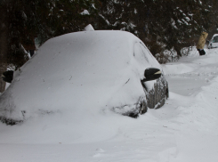 Труп у занесенного снегом автомобиля нашли в Волгоградской области 