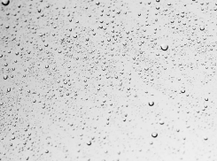 В Волгограде последняя суббота мая будет дождливой