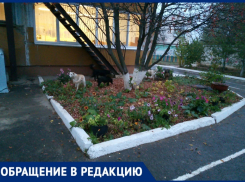 Добрались до детского сада: за безопасность детей боятся жители поселка в Волгограде