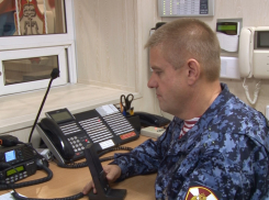 В Волгограде росгвардейцы задержали дебошира, который пытался разбить «Тойоту» 