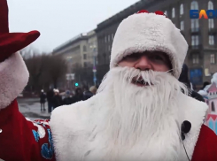 «Молодежные каникулы» устроят для волгоградцев на новогодние праздники