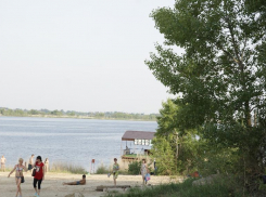 Пляж в лагере «Орленок» под Волгоградом оказался опасным для отдыха