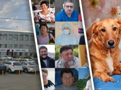 Массовый сбор плазмы, разоблачение автосалонов-мошенников, миллионы на лечение: 10 добрых дел «Блокнота Волгограда» в 2020