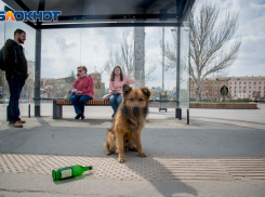 Волгоград поставил очередной антирекорд по индексу самоизоляции