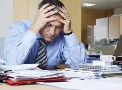 В Волгограде каждый год растет число предпринимателей