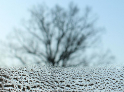 До +2 и без осадков ожидается на Крещение в Волгоградской области 