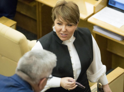 Депутат Госдумы Ирина Гусева: «Оперативно решаем задачи, поставленные президентом для спасения бизнеса»