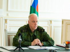 Бастрыкин заинтересовался делом, где жительница Волгоградской области била и душила годовалую дочь 