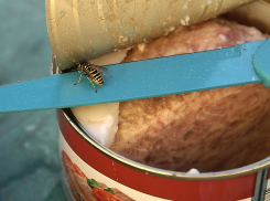 Раздать людям тушенку из запасов Росрезерва предложил бывший вице-мэр Волгограда