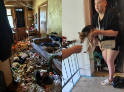Квартиру-помойку умершего волгоградца показали волонтеры: здесь сидели запертыми 7 собак
