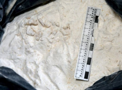 Под Волгоградом осужденный из колонии строгого режима управлял группой наркоторговцев