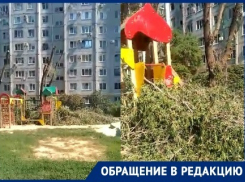 Дети вынуждены играть на солнцепеке в 40-градусную жару из-за спиленных властями деревьев