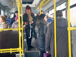 До 15 рублей может упасть стоимость проезда в автобусах Волгограда