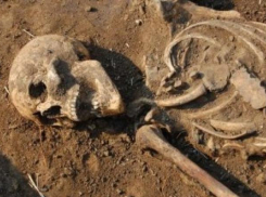 В Волгоградской области нашли останки двух солдат ВОВ 