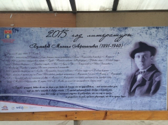 В Волгограде на остановках появились стихи русских писателей