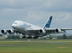 Самолет из Москвы в Волгоград задержали из-за неисправности