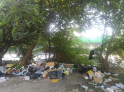 Зловонное лежбище бездомных и дерево в фонтане: кинотеатр «Юбилейный» превратился в главную помойку Волгограда 