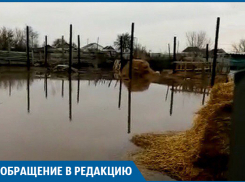 Паводок в Иловлинском районе: утонувший скот и затопленные дома