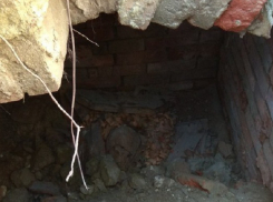 В Комсомольском саду Волгограда раскопали часть скелета человека