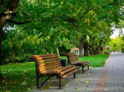 В Волгограде появится новый парк «70 лет Победы»