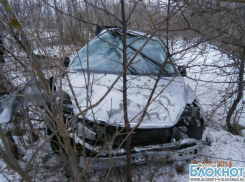 В Волгоградской области иномарка улетела в кювет и врезалась в деревья: 3 пострадавших