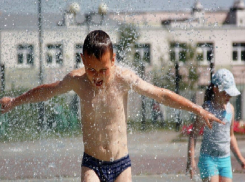 МЧС объявило экстренное предупреждение из-за жары +42 градуса в Волгоградской области 