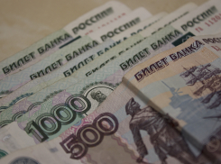 Волгоградские бухгалтеры разбогатели