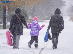Метель, туман и 15-градусный мороз: что ждет волгоградцев в первый рабочий день года 