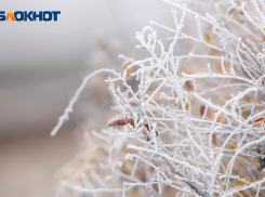 МЧС предупредило волгоградцев о сильном ветре, снеге и гололёде