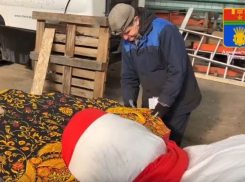 Восьмиметровое чучело готовят к сожжению в Волгограде