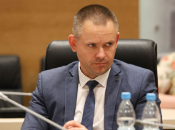 Томящемуся в московском СИЗО главе облкомприроды Сивокозу нашли замену в Волгограде