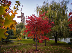 Волгоградские чиновники возгордились превращением города в один из самых бедных в РФ