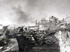 В Волгограде появится новая улица имени героя Сталинградской битвы Аркадия Шумского