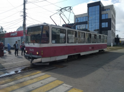 Волгоградцы потребовали от прокурора проверить законность отмены трамвая №1