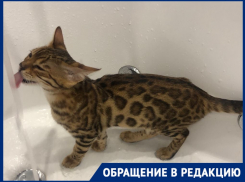 «Нам нечего пить»: волгоградцы из 16-этажки остались без холодной воды