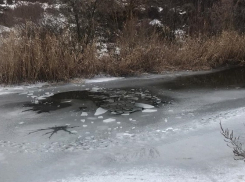 Семилетний ребенок провалился под лед и погиб в Волгоградской области