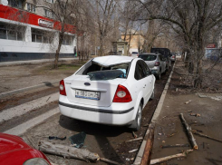 Дерево рухнуло на припаркованную иномарку в Волгограде