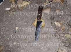 «Иди сюда, я тебя пырну»: цыгане напали на инвалида СВО под Волгоградом