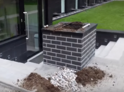 В центре Волгограда украли можжевельник, высаженный у ветеринарной клиники