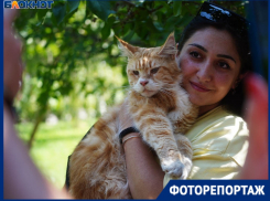Вот кто хозяин в доме и вьет из всех веревки: домашнюю милоту показали волгоградцы