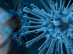 Более сотни волгоградцев остаются на карантине по коронавирусу