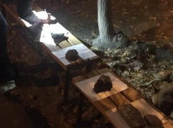 «Вам не жалко бюджетных денег?»: волгоградка предложила способ ускорить закрытие ковидных больничных