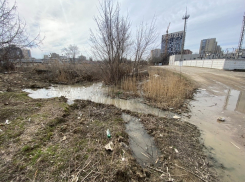 Фекальный потоп у Волгоград-Сити оценили в 1,1 млн