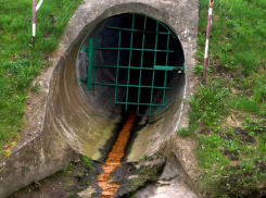 В утопающей в фекалиях Дубовке ввели режим ЧС