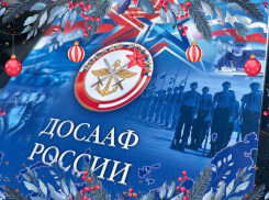 Волшебную скидку к Новому году дарит автошкола ДОСААФ России   